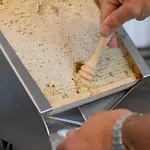 Tiby Μόντενα