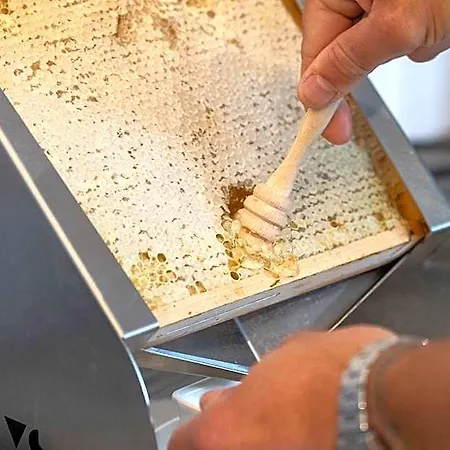 Tiby מודנה